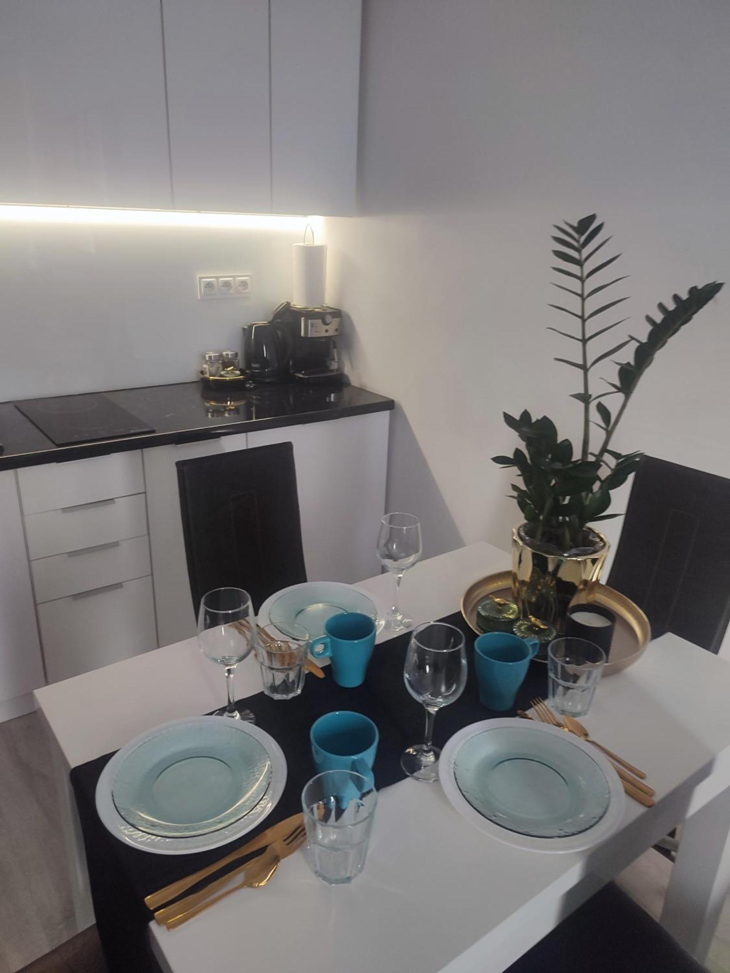 Apartament Lux W Centrum Konina 科宁 外观 照片